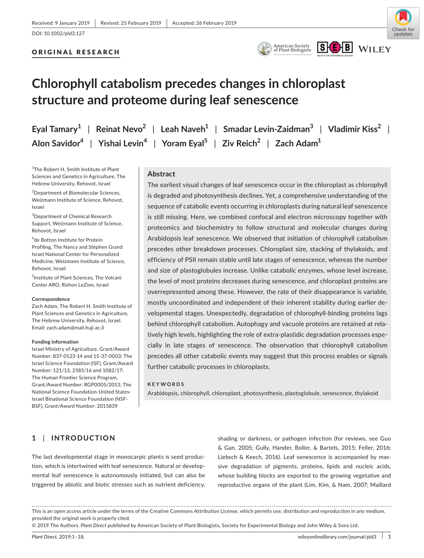 Table Resine Tressee Beau Pdf Chlorophyll Catabolism Precedes Changes In Chloroplast