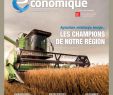 Table Roulante Jardin Best Of Guide Economique by Globalestmedias issuu