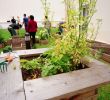 Terrasses Et Jardins Lyon Inspirant Installation De Jardins Partagés Dans Les Résidences