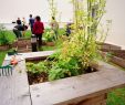Terrasses Et Jardins Lyon Inspirant Installation De Jardins Partagés Dans Les Résidences