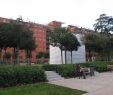 Terrasses Et Jardins Lyon Luxe Jardin Public Aval Lyon Fr