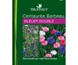 Truffaut Salon De Jardin Unique Centauree Barbeau Bleuet Double En Sachet
