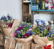 Vive Le Jardin Salon De Provence Best Of Pin by Moe Chambry On Business Revamp