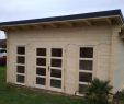 Achat Abri De Jardin Unique Abri De Jardin Bois Mono Pente De 20 M²