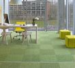 Adresse Jardin D Acclimatation Inspirant Mercial Carpet Tile & Resilient Flooring