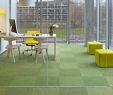 Adresse Jardin D Acclimatation Inspirant Mercial Carpet Tile & Resilient Flooring