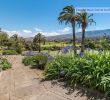 Agapanthe Jardin Best Of Casa Chalet Indepen Nte En Venta San José De Las Vegas La