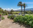 Agapanthe Jardin Best Of Casa Chalet Indepen Nte En Venta San José De Las Vegas La