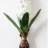 Agapanthe Jardin Charmant Acheter Hyacinthe Avec Simulation De L Ampoule Fleurs Fleurs Artificielles Simulation Plantes Décoration De Mariage De $82 21 Du Yingpangpan