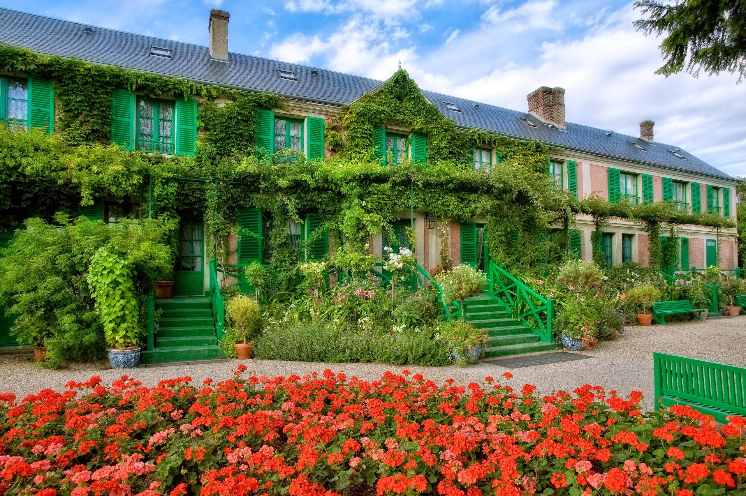 Agapanthe Jardin Élégant Fondation Monet In Giverny