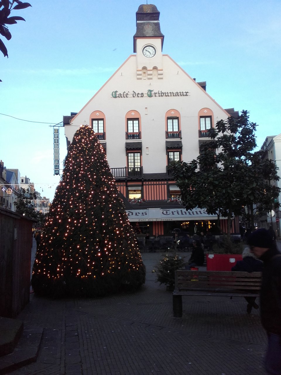 sapin devant le cafe