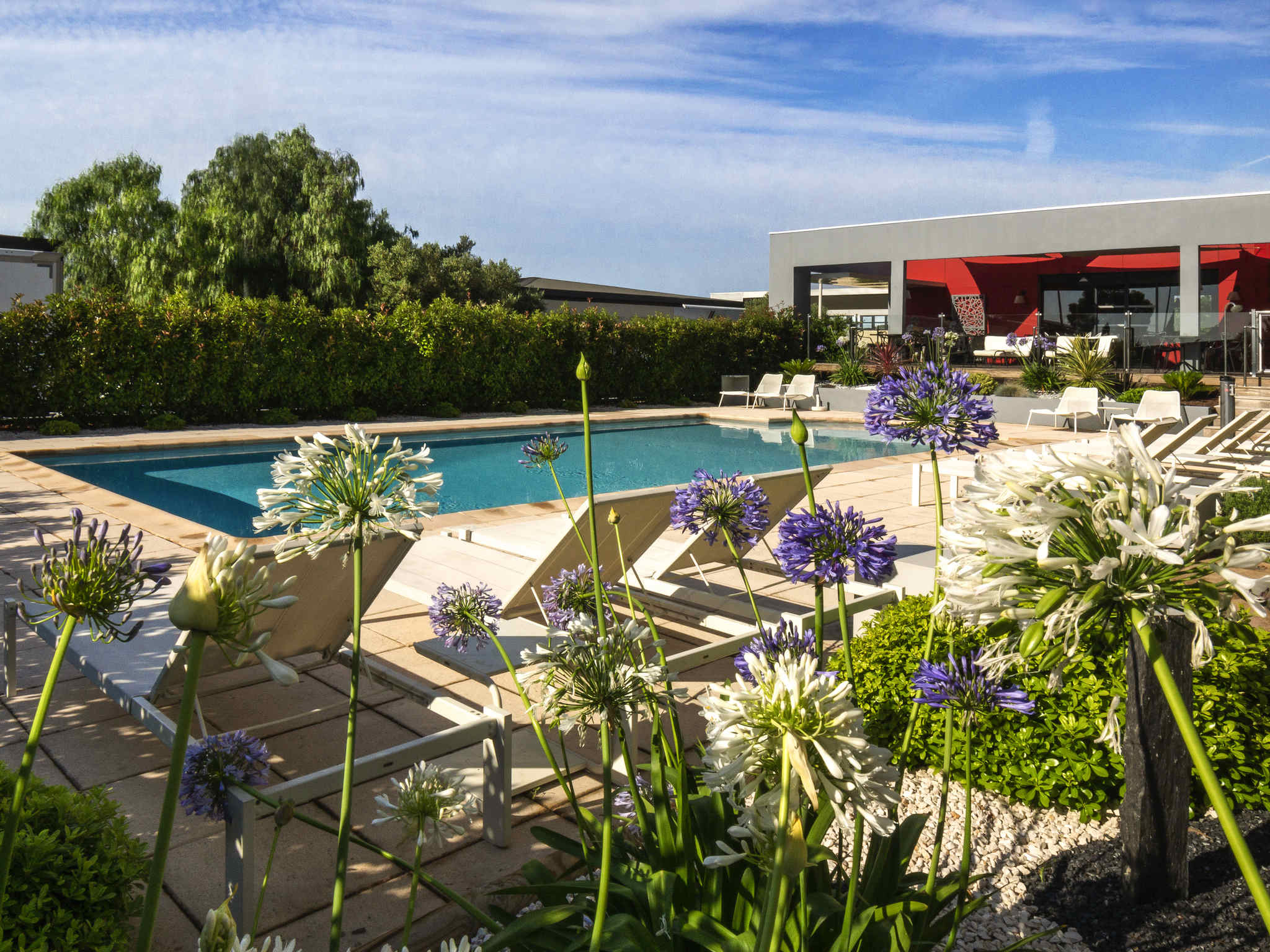 Agapanthe Jardin Génial Thb Hotel De La Gare In Bayonne