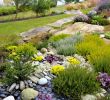 Agapanthe Jardin Génial Un Jardin Breton D Agapanthes Et D Hortensias Bleus