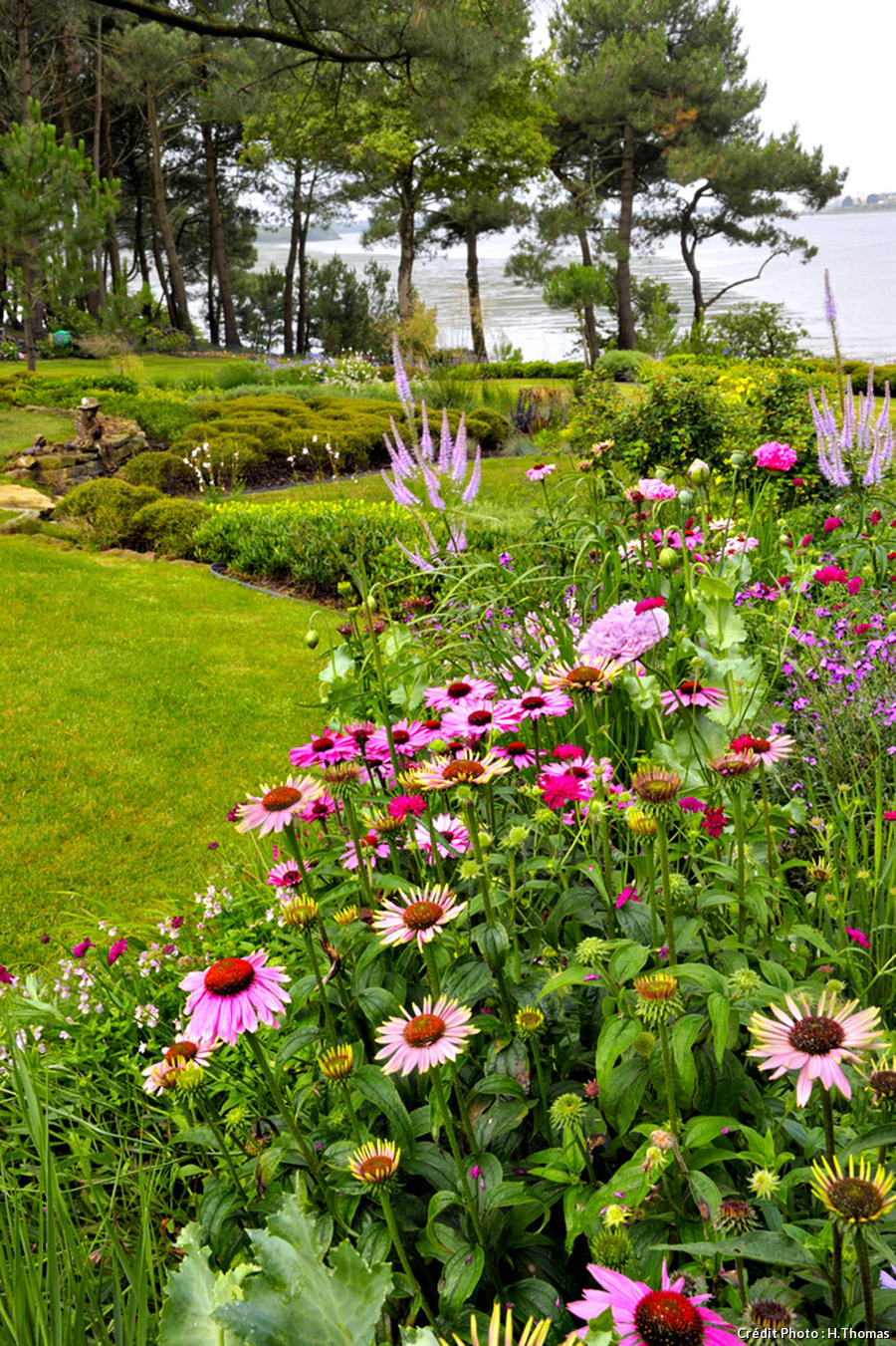 Agapanthe Jardin Luxe Fleurs Fruits Légumes Jardins Déco