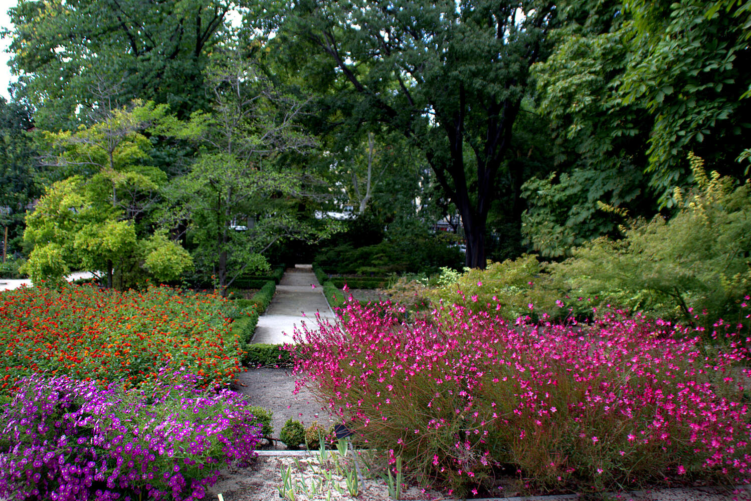 filejardin botanico de madrid el 28 de septiembre big