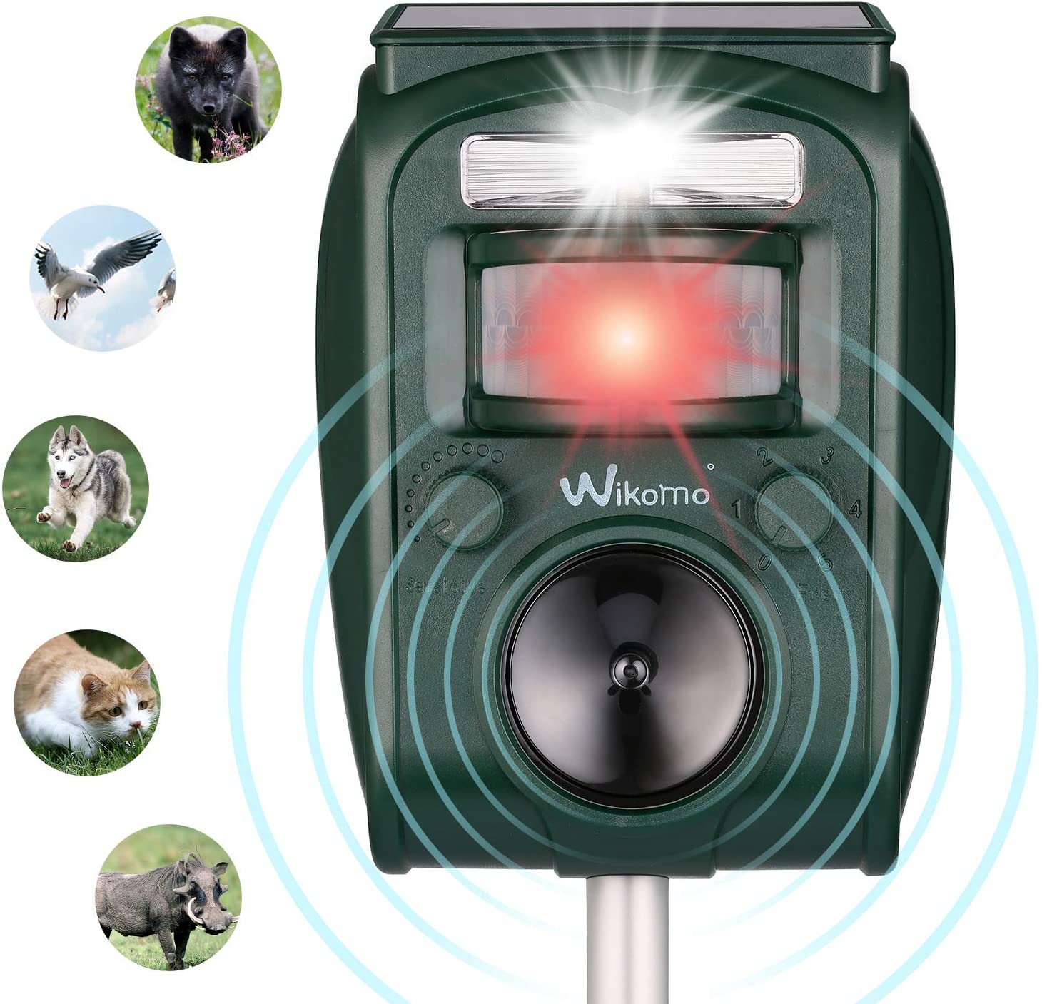 Alarme Exterieur Pour Jardin Beau Répulsif Chat Ultrason solaire Repulsif Chat Exterieur Sensibilité Et Fréquence Réglable Ultrason Chat Pour Repousser Animaux Nuisibles Des écureuils