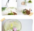 Allée De Jardin En Béton Beau Do It Yourself Garden Decor 50 SmeÅ¡nih Idej In Enostavnih