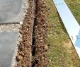 Allée De Jardin En Béton Génial Bricolage De L Idée   La Réalisation Allée Dalle Et