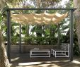 Allée Jardin Génial Abris De Jardin Jardin Avec Pergola