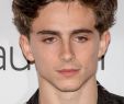 Aménagement Allée De Jardin Unique Timothée Chalamet