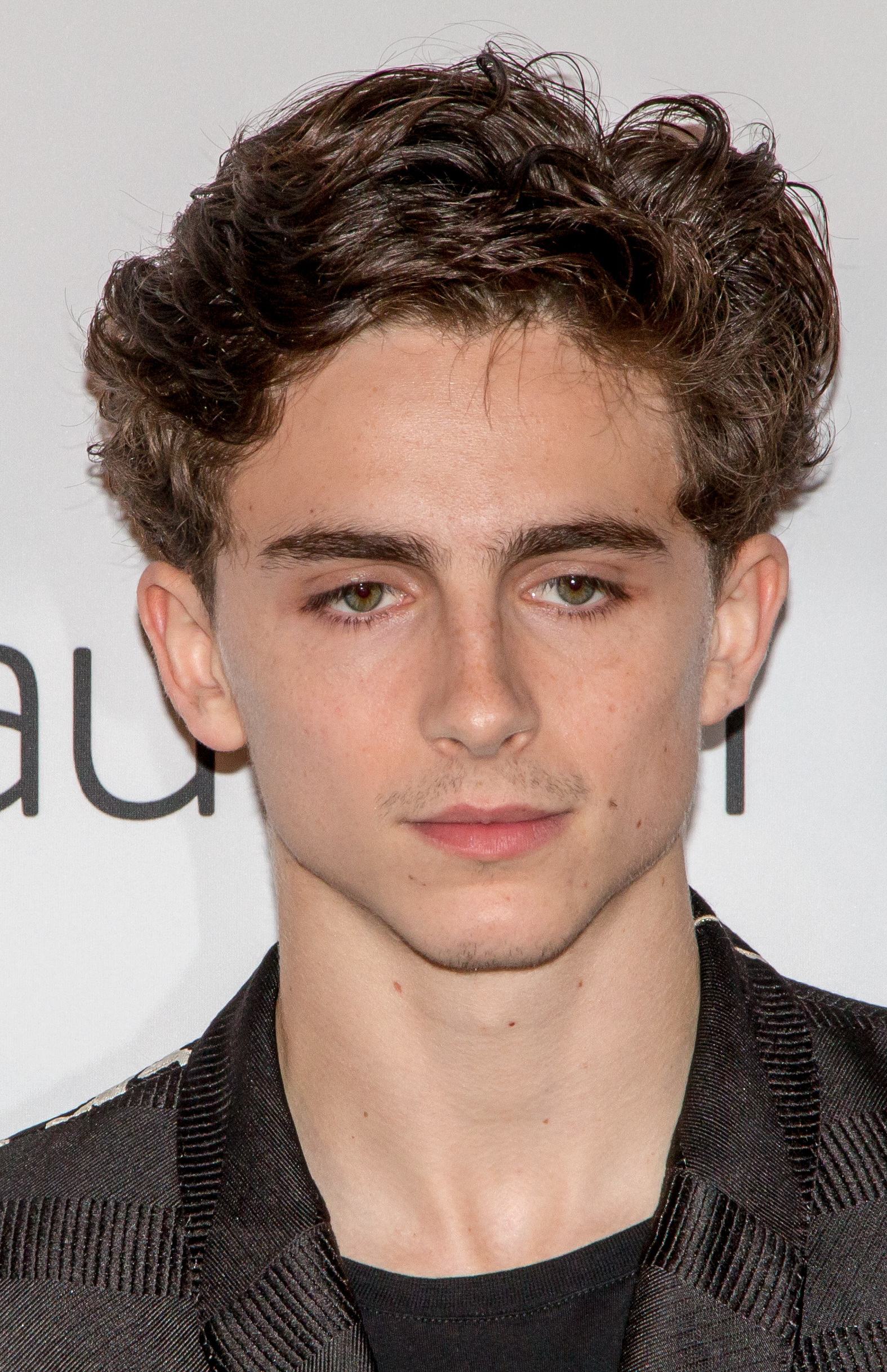 Timothée Chalamet in 2018 cropped