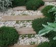 Amenagement Jardin Avec Gravier Best Of Déco Jardin Diy Idées originales Et Faciles Avec Objet De