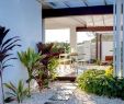 Amenagement Jardin Avec Gravier Charmant Galet Décoratif Blanc Plus De 45 Idées Pour Vous Inspirer
