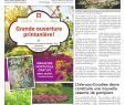 Amenagement Jardin Avec Gravier Élégant Le Charlevoisien 3 Mai 2017 Pages 1 40 Text Version