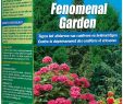 Amenagement Jardin Avec Gravier Frais Engrais Fenomenal Garden 75 Gr Kb Mr Bricolage