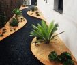 Amenagement Jardin Avec Gravier Inspirant 20 Chic Small Courtyard Garden Design Ideas for You