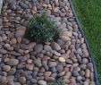 Amenagement Jardin Avec Gravier Luxe 30 Fancy Garden Decorating Ideas with Rocks and Stones