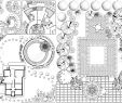 Amenagement Jardin Avec Piscine Beau Collections Od Plan D Aménagement Paysager Avec Des Symboles Cime Des Arbres En Noir Et Blanc