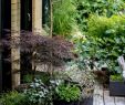 Amenagement Jardin Avec Piscine Charmant épinglé Par Frenchyfancy Décoration Hom Sur Terrasses