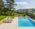 Amenagement Jardin Avec Piscine Luxe Bassin Sans Vis   Vis