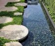 Amenagement Jardin Best Of Aménagement Jardin Moderne – 55 Designs Ultra Inspirants