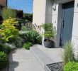 Aménagement Jardin Devant Maison Best Of Idee Amenagement Jardin Devant Maison – Gamboahinestrosa