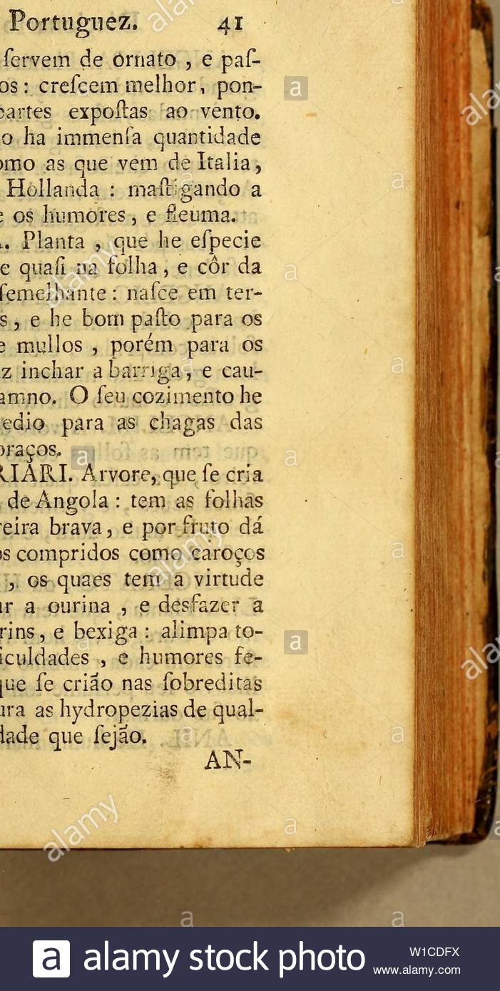 archive image from page 60 of diccionario portuguez das plantas arbustos diccionario portuguez das plantas arbustos matas arvores animaes quadrupedes e reptis ayes peixes mariscos insectos gomas metaes pedras terras mineraes c que a divina omnipotencia creou no globo terraqueo para utilidade dos viventes diccionarioportu00carv year 1765 portuguez 41 nos jardins fervem de ornato e paf mo aos olhos crefcem melhor pon do fe em partes expolas ao vento nefte reino ha immena quantidade to boas o as que vem de itlia franca e hollanda maftirando a raiz at W1CDFX