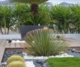 Amenagement Jardin Exotique Best Of Drought tolerant Landscaping Gardening Mix Of Dark and