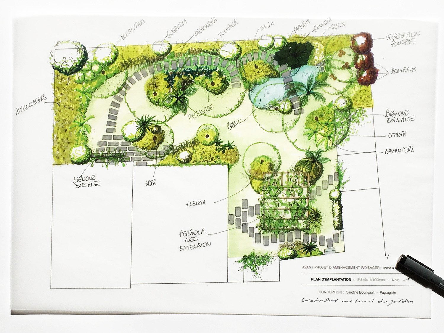 Plan amenagement jardin exotique 1