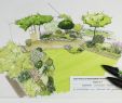 Amenagement Jardin Exotique Luxe L atelier Au Fond Du Jardin Caroline Bourigault Paysagiste