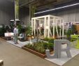 Amenagement Jardin Frais Le Salon Du Jardin A Arlon Jardi