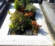 Amenagement Jardin Inspirant Fontaine A Eau Jardin