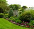 Amenagement Jardin Inspirant Landscaping