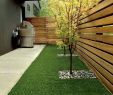 Amenagement Jardin Paysager Beau érable Du Japon Dans Le Jardin En 55 Idées D Aménagement