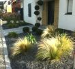 Amenagement Jardin Paysager Beau Idee Amenagement Jardin Devant Maison