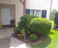 Amenagement Jardin Paysager Charmant 100 [ Amenagement Jardin Paysager ]