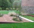 Amenagement Jardin Paysager Charmant Nouvelle Archives Abajp