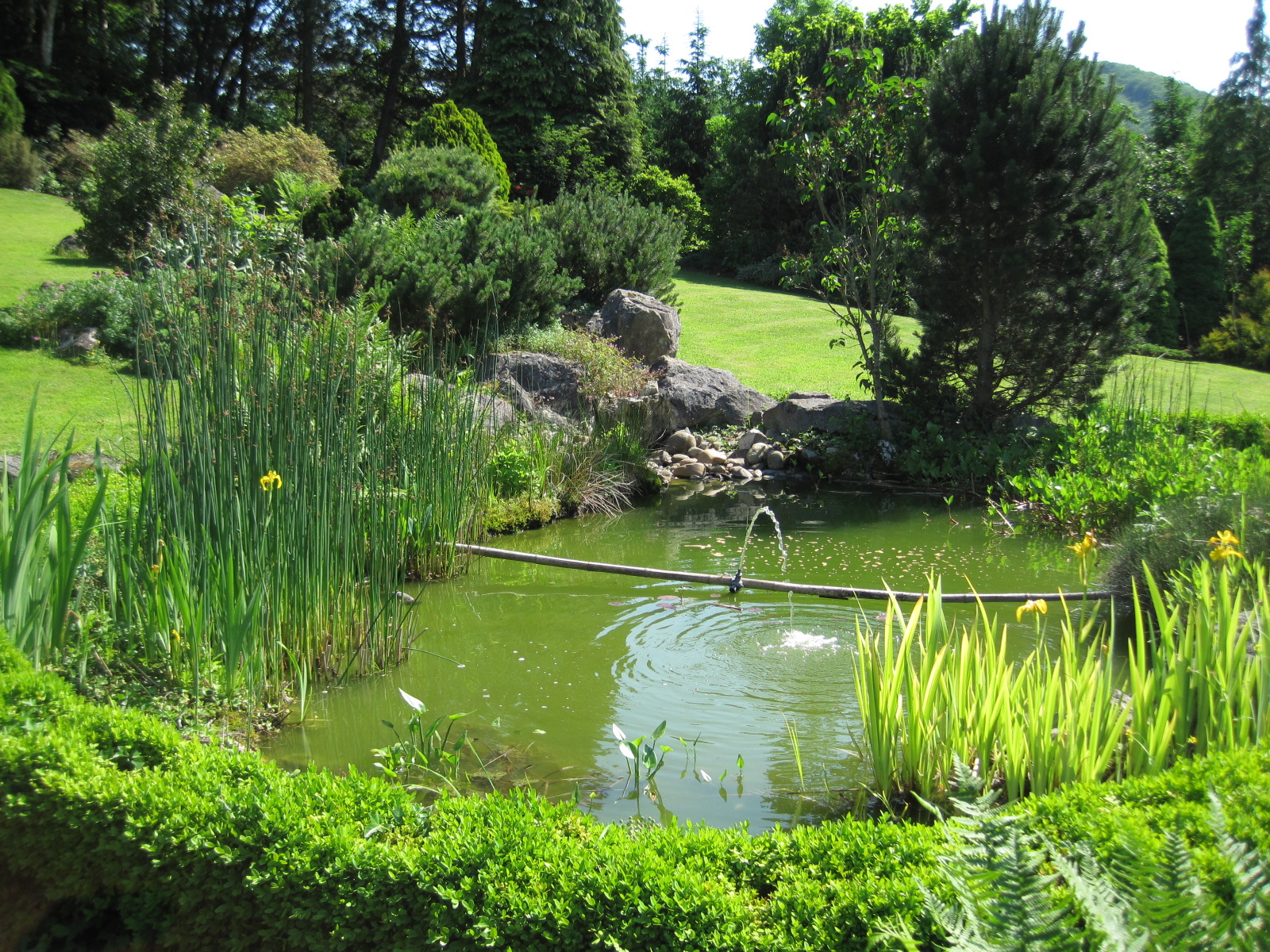 Amenagement Jardin Paysager Élégant Bassin Jardinage — Wikipédia