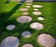 Amenagement Jardin Paysager Génial Chemin De Jardin En Pas Japonais –10 Idées D Aménagement