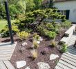 Amenagement Jardin Paysager Inspirant Amenagement butte Exterieur – Gamboahinestrosa